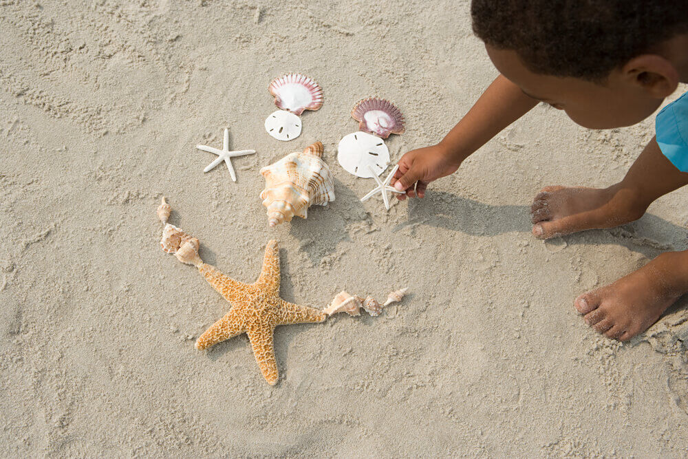 Picture of child enjoying the Marco Island shelling scene.