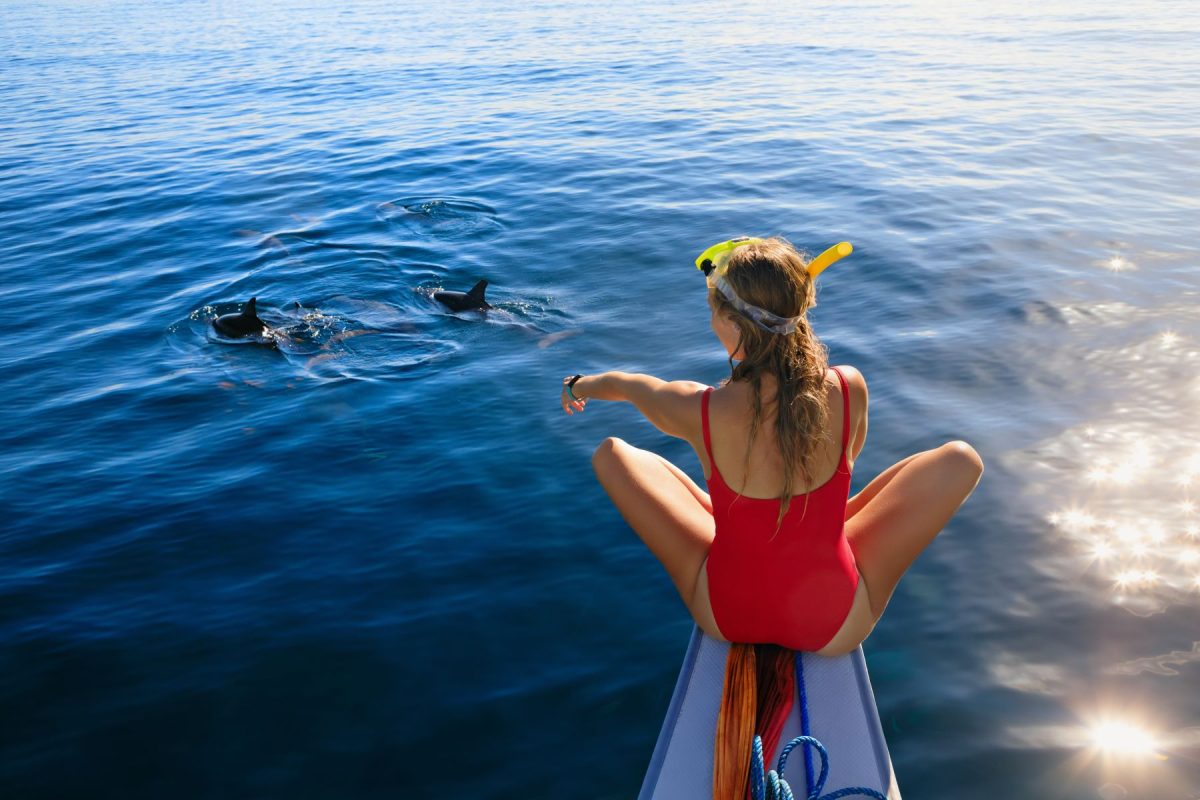 dolphin tour on Marco Island